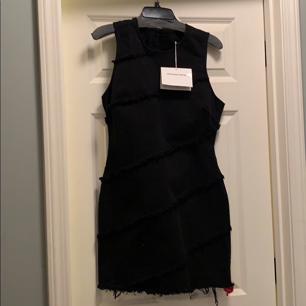 Alexander Wang dress
